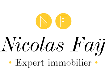 Nicolas Fay - Expert Immobilier